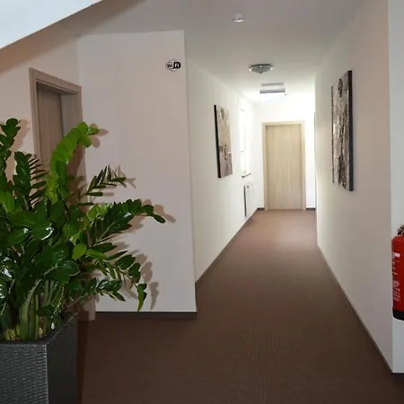 Guest house Zur Traube