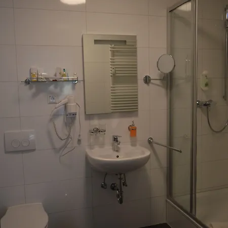 Zur Traube Guest house Bergheim (Rhein-Erft-Kreis)