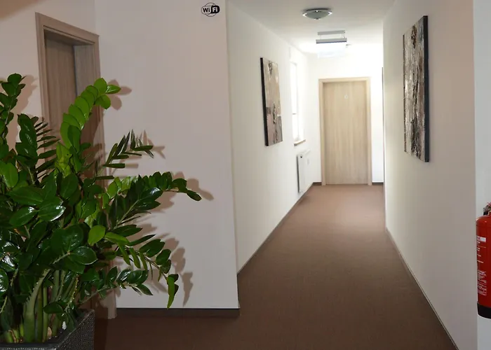 Zur Traube Gæstehus Bergheim (Rhein-Erft-Kreis)